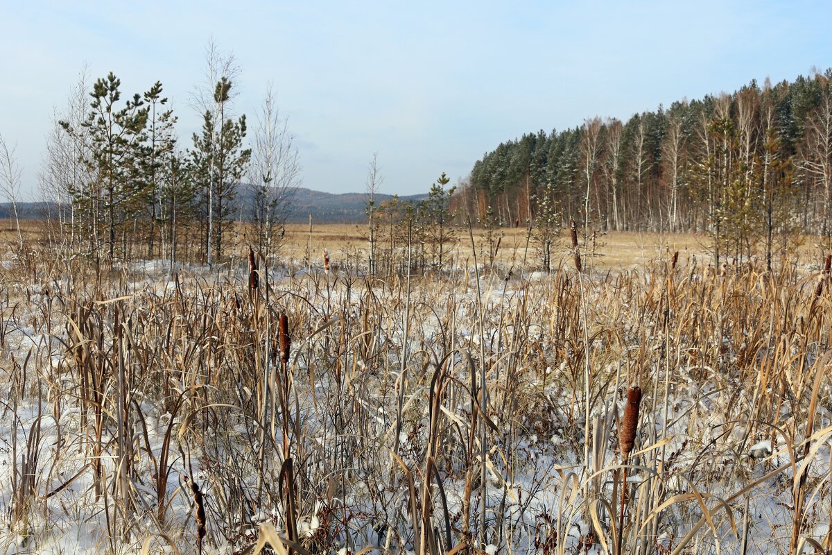 За городом - Ольга 