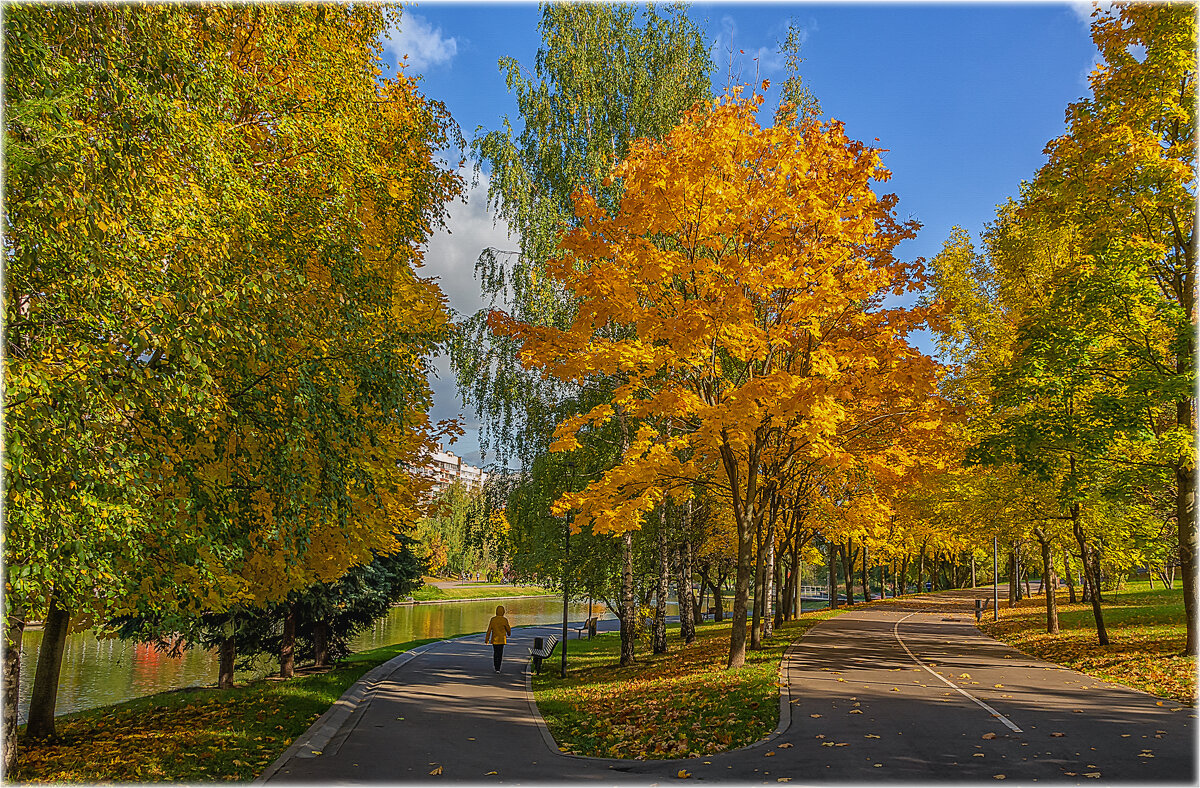 Осень в парке. - Aleksey Afonin