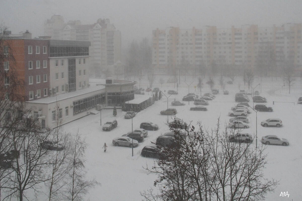 *** - Роланд Дубровский