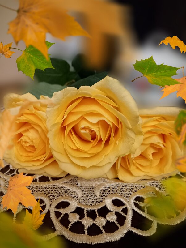 Для осени уходящей розы жёлтые в подарок - tatyana 