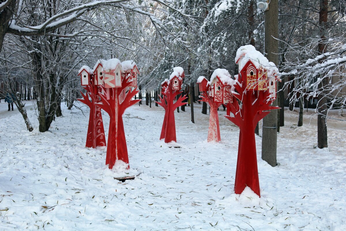 Птичий городок - Ольга 