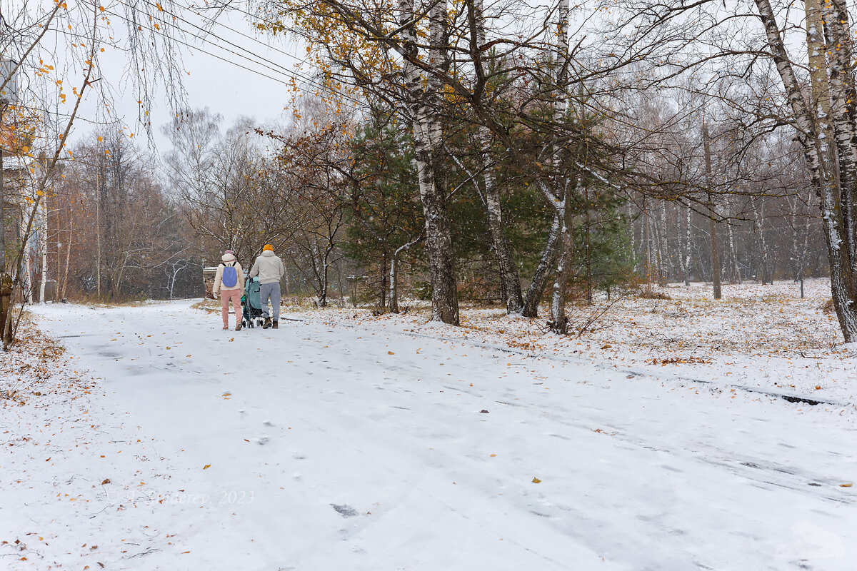 Прогулка по первому снегу - Александр Синдерёв