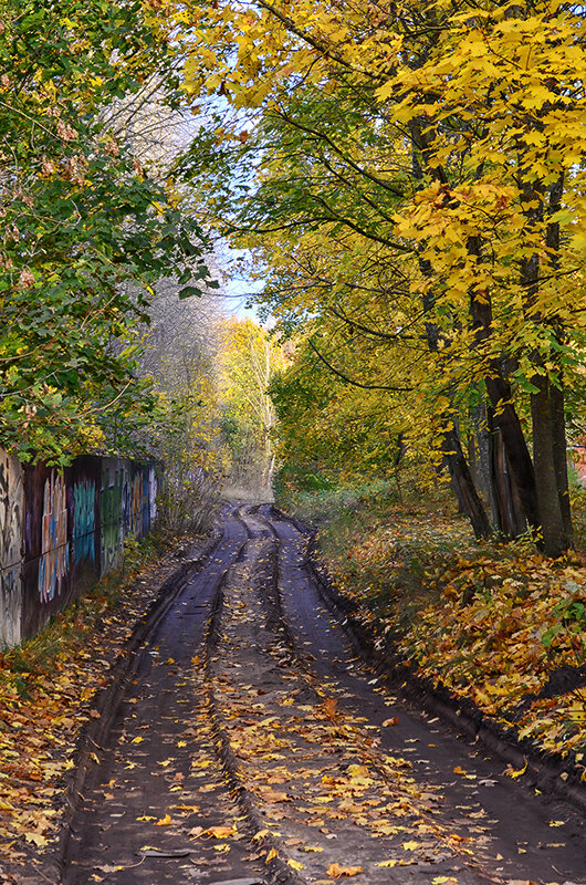 Осенняя дорожка - Регина 