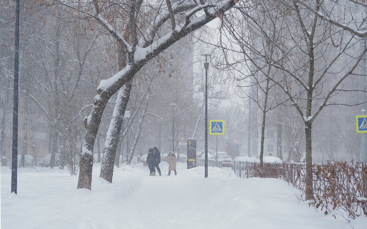 Непогода в Городе - юрий поляков