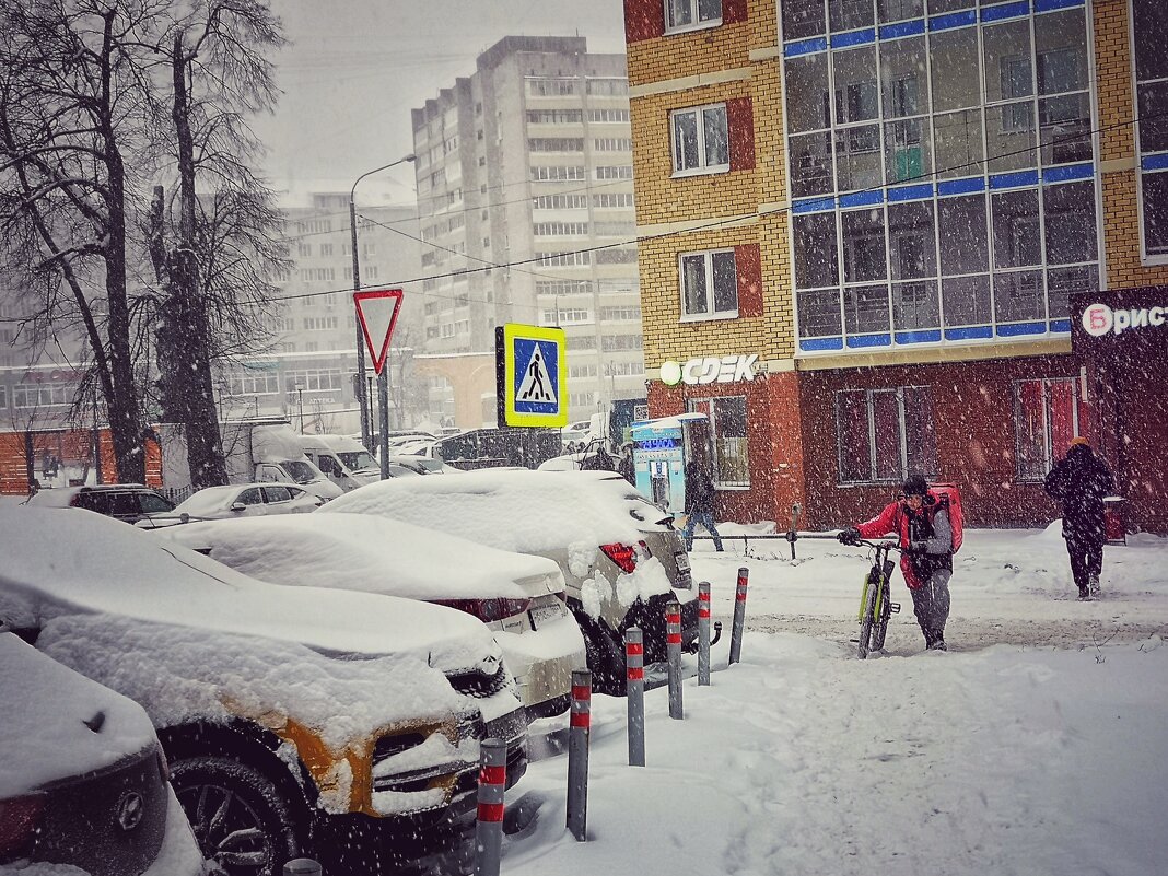 Снегопад - Алексей Архипов