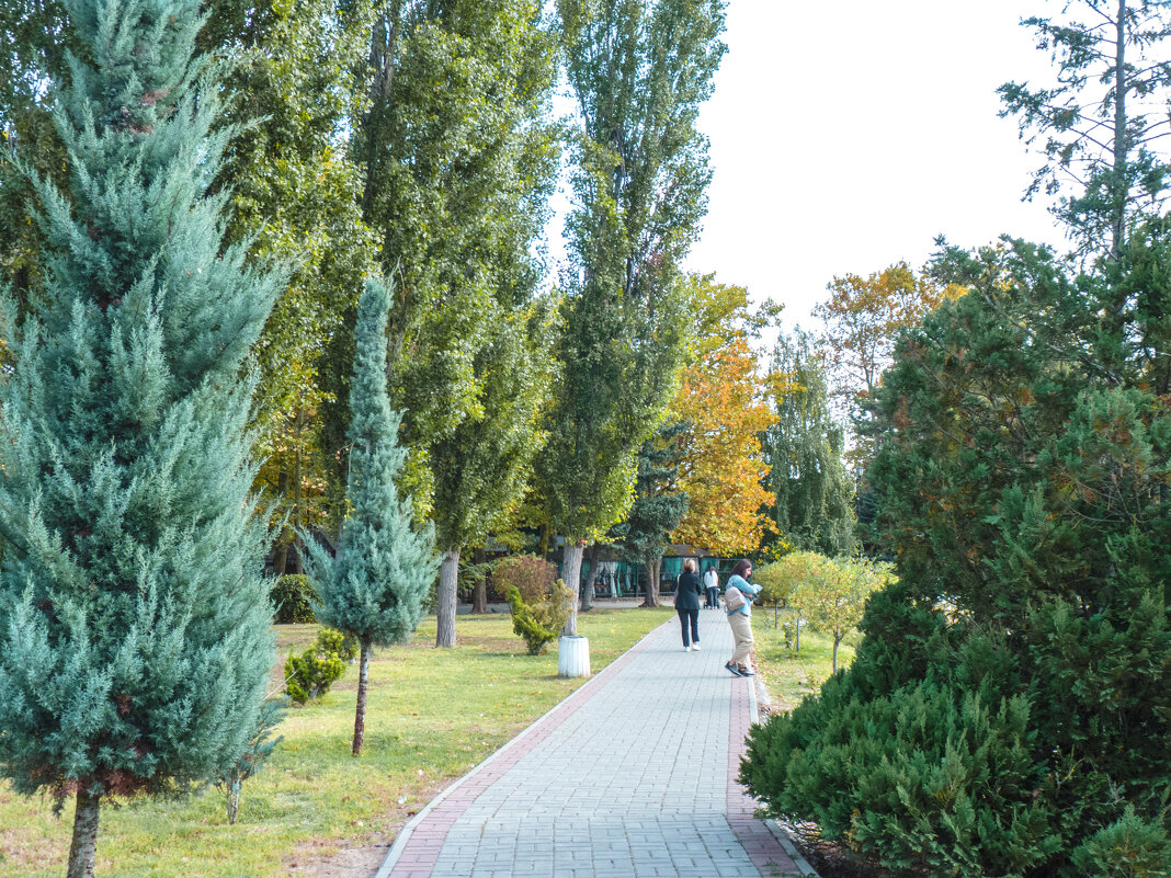 Осень  в Гагаринском парке - Валентин Семчишин