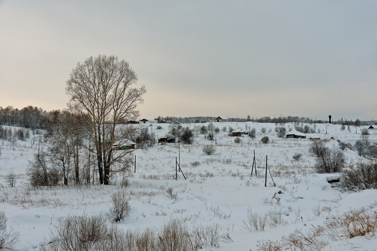 Сибирская глубинка, домики в деревне - Дмитрий Конев