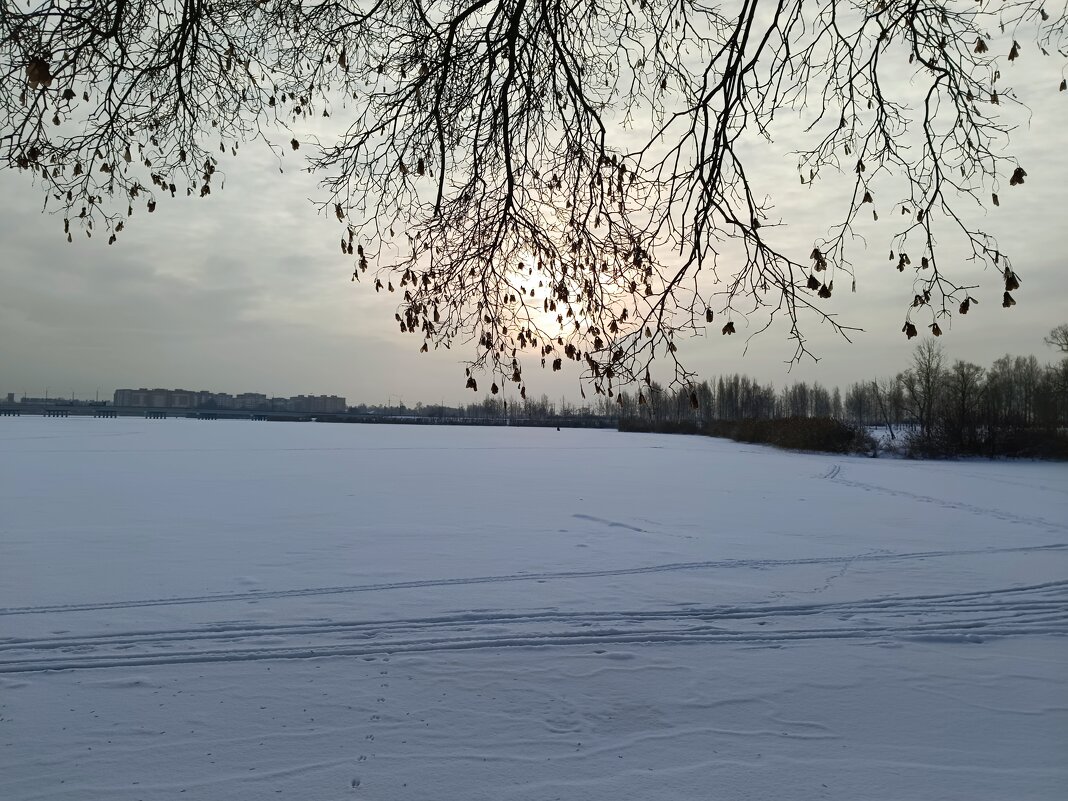 Взгляд на солнце - Мария Васильева