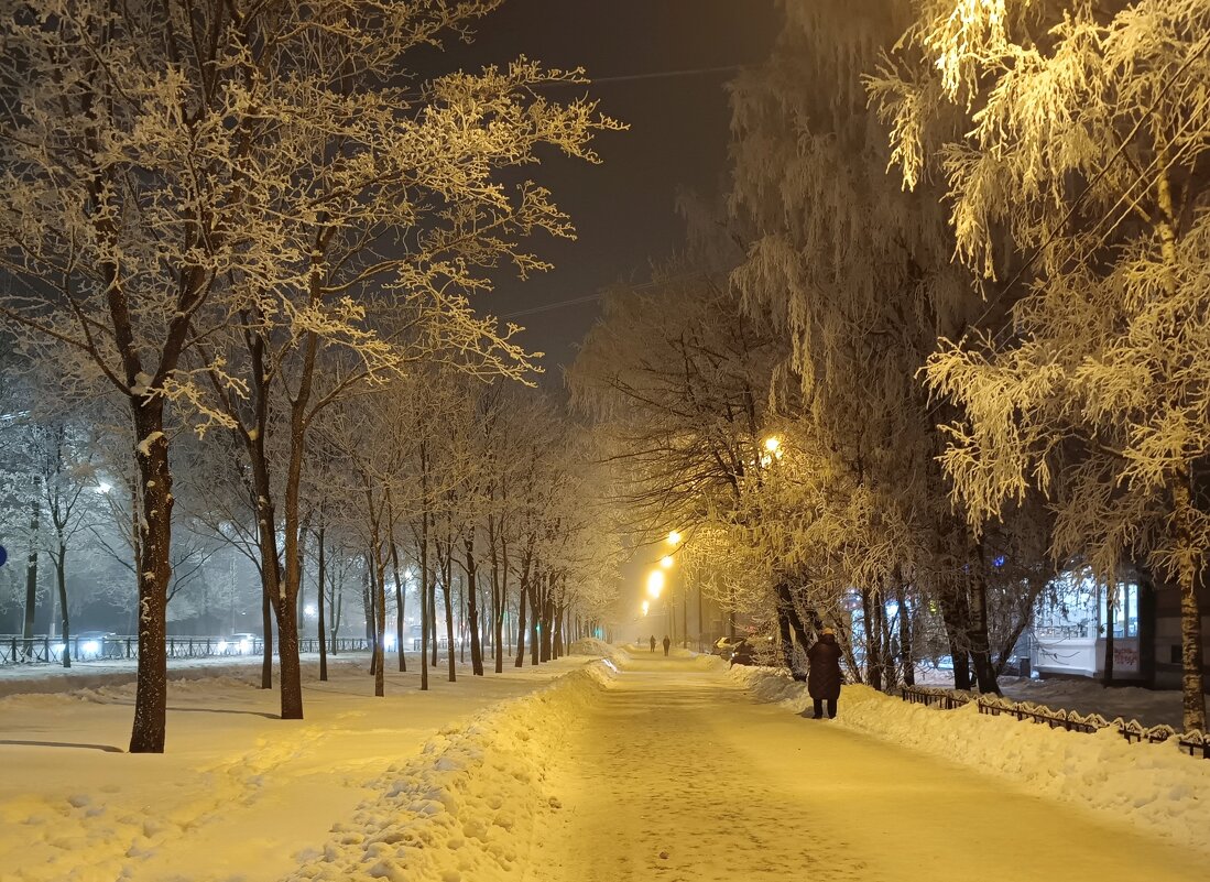 По морозу вечером... - Мария Васильева