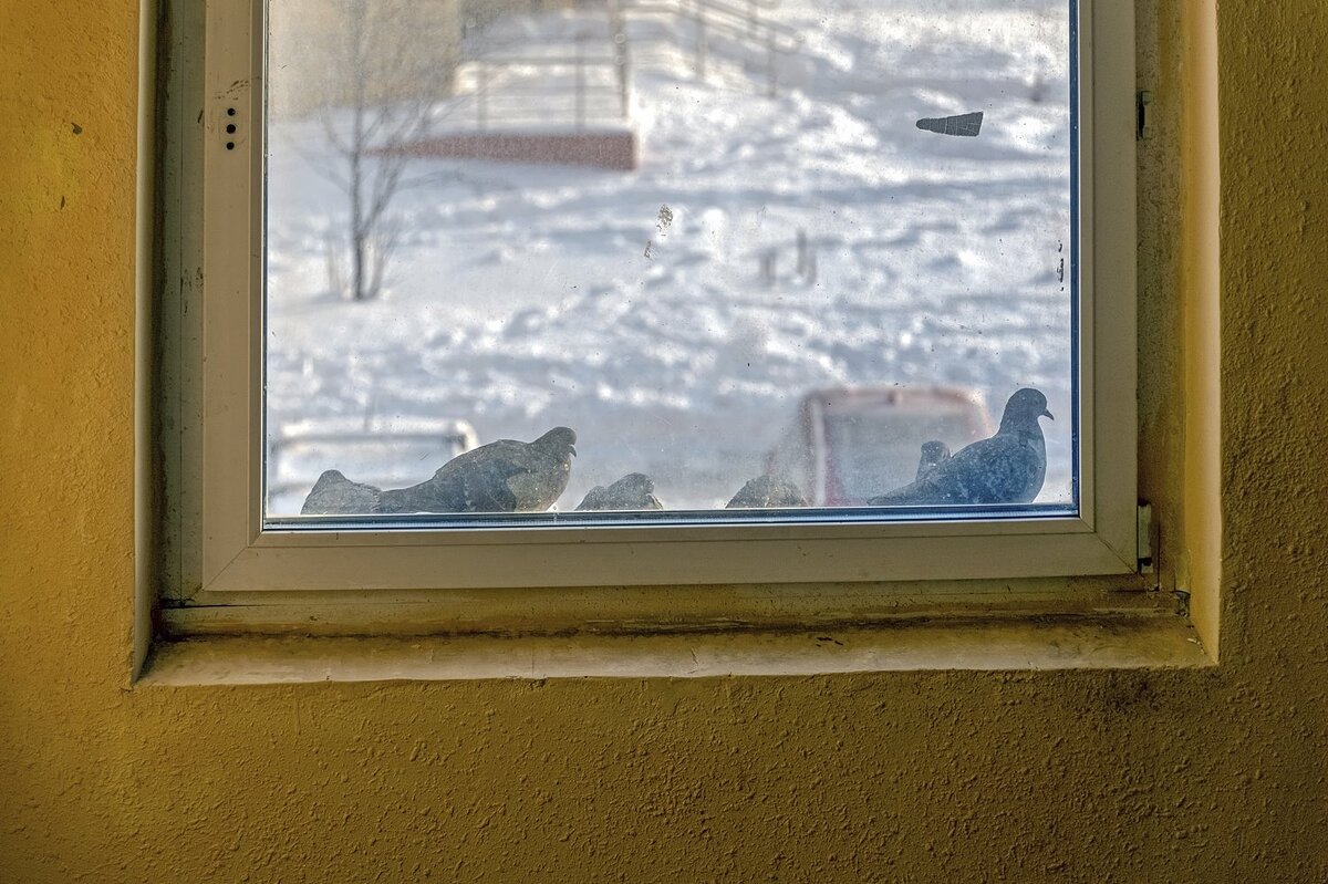 У окна теплее - Валерий Иванович