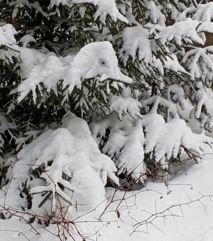 Прилетела к нам снежная птичка... - veilins veilins