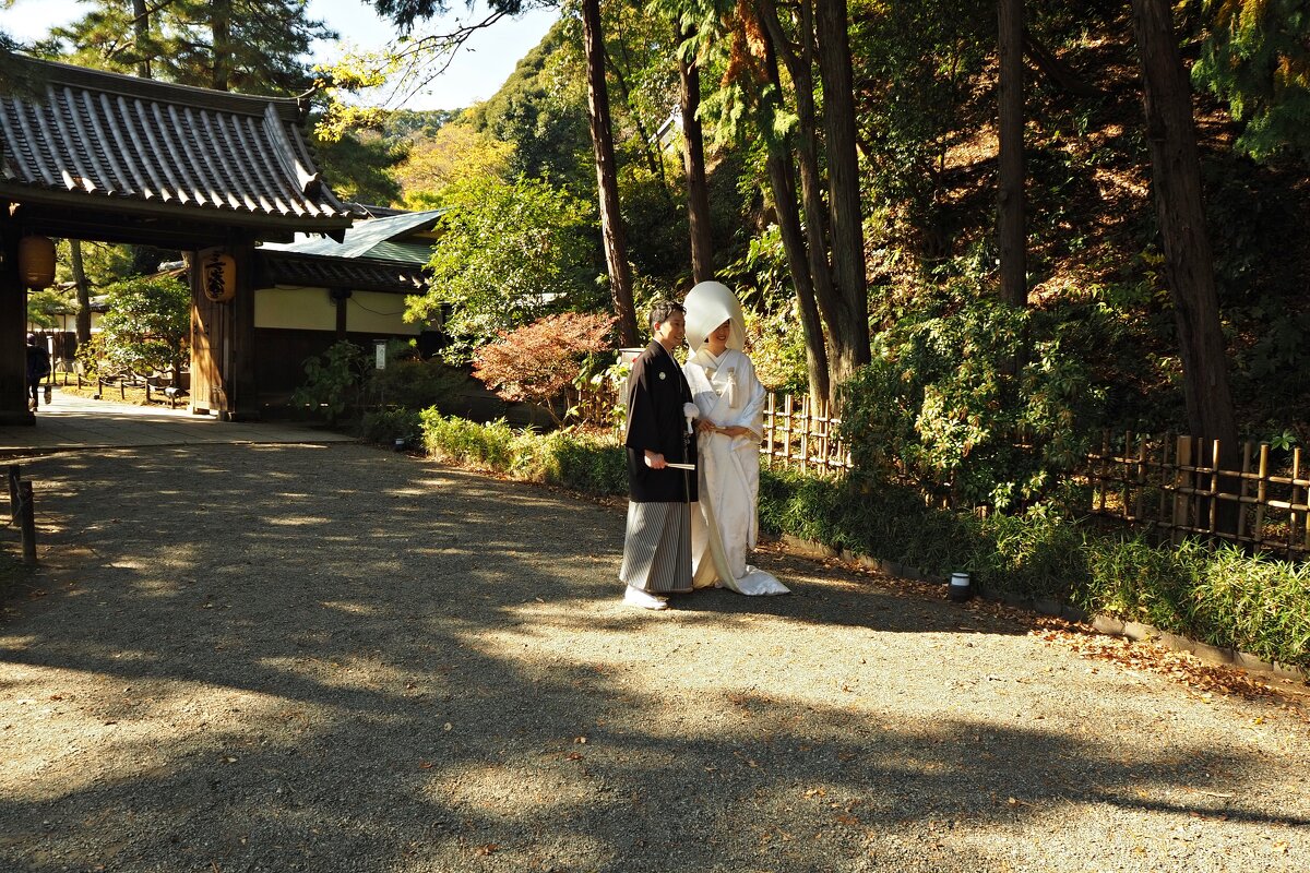 Свадебная фотосессия в парке Sankei-en Иокогама Япония - wea *