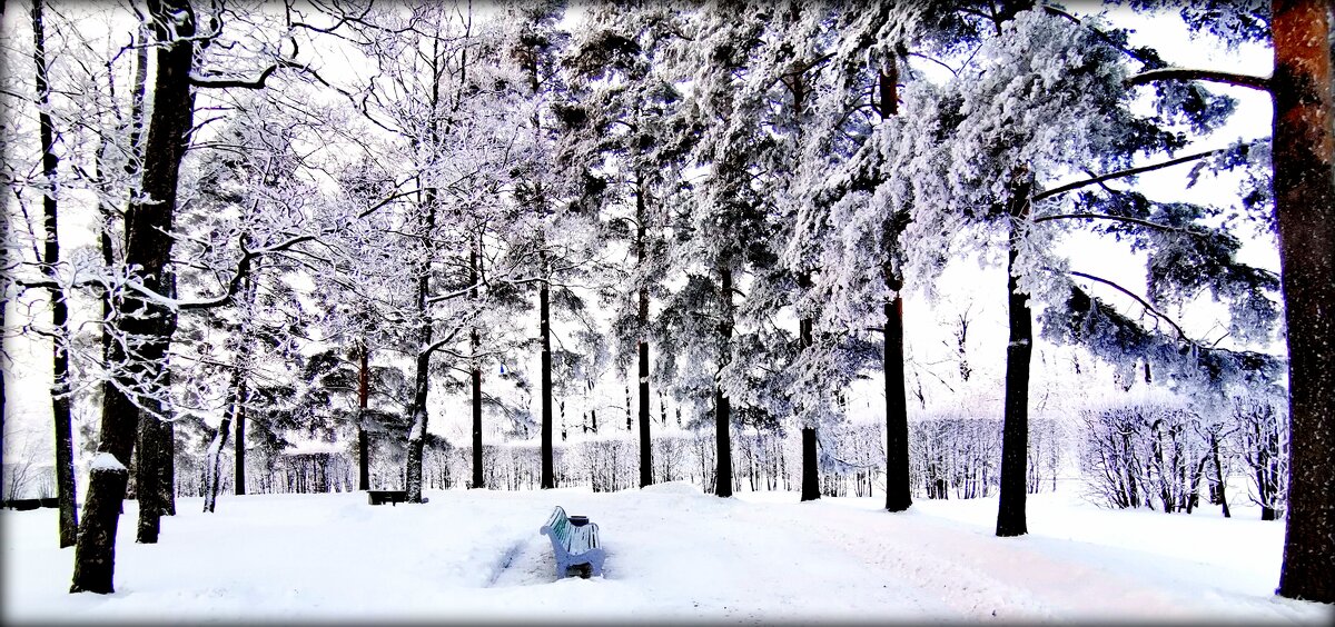 После снегопада ... - Сергей 