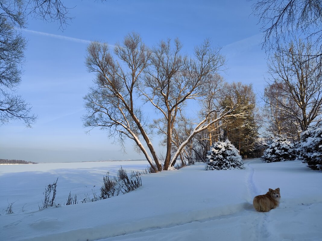 на прогулке морозным днем - Galina 