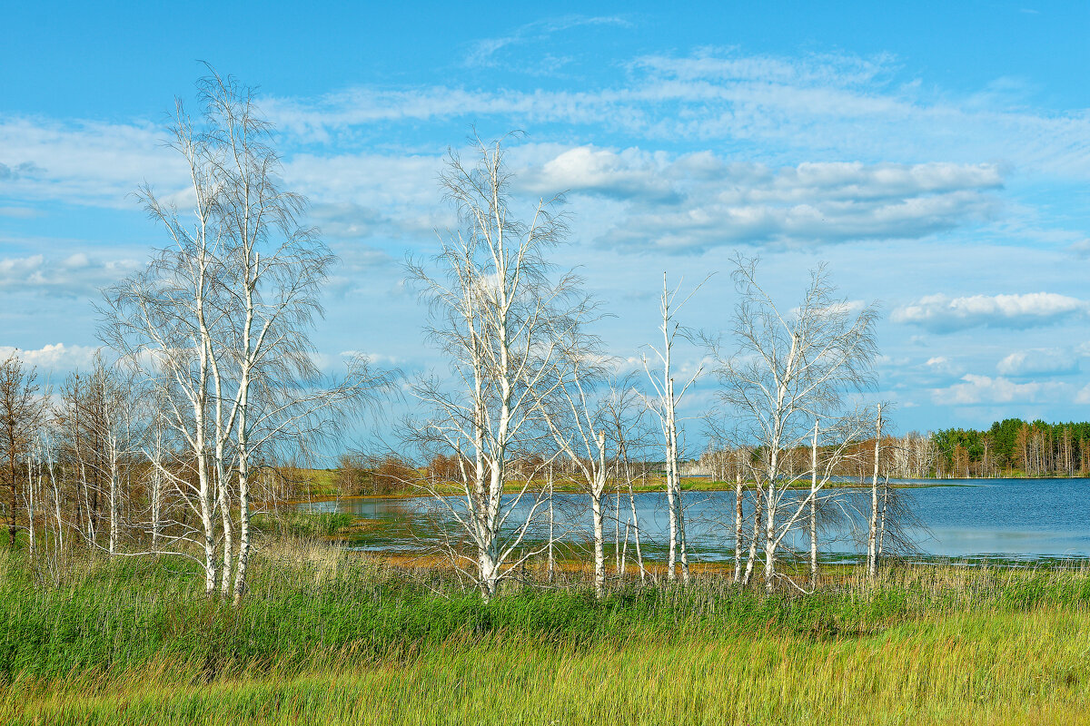 Озера, реки и водоемы Алтая и Алтайского края - Дмитрий Конев