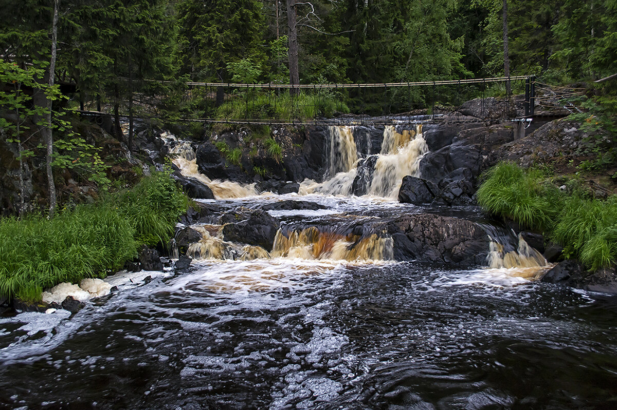 *** - Регина 