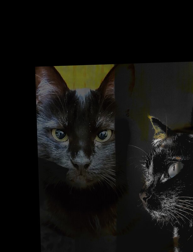 Чёрная кошка - Валентина M