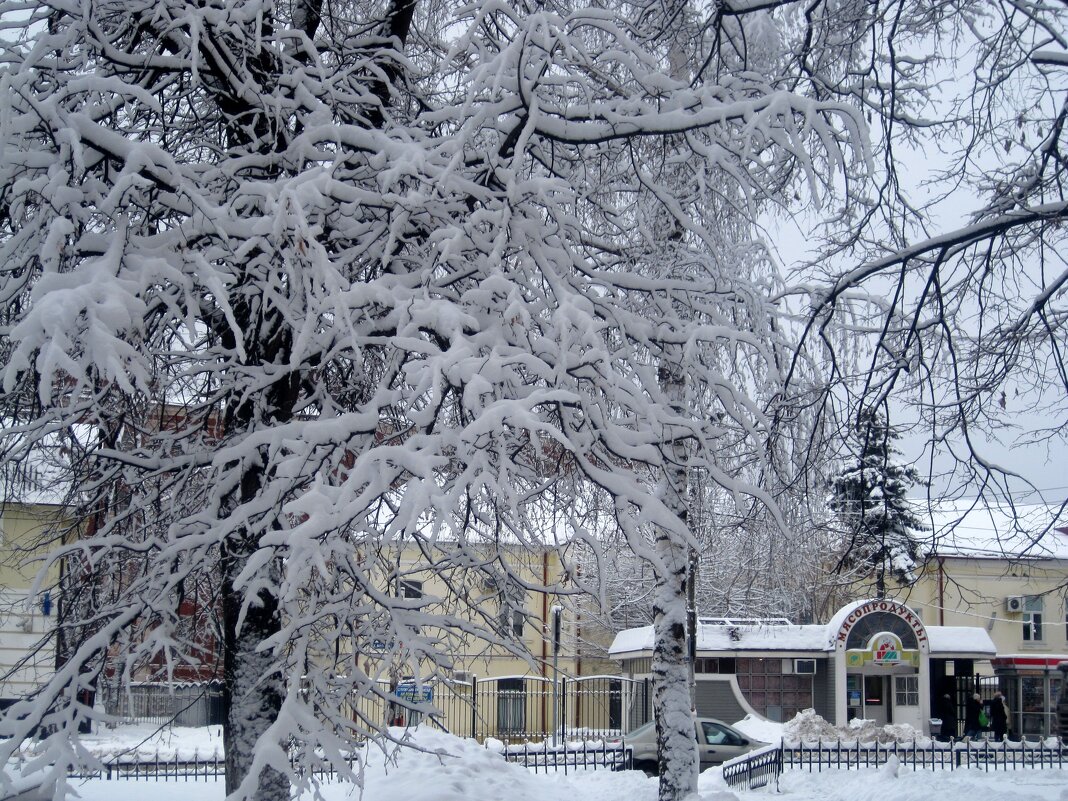 Зима в городе - Елена Семигина