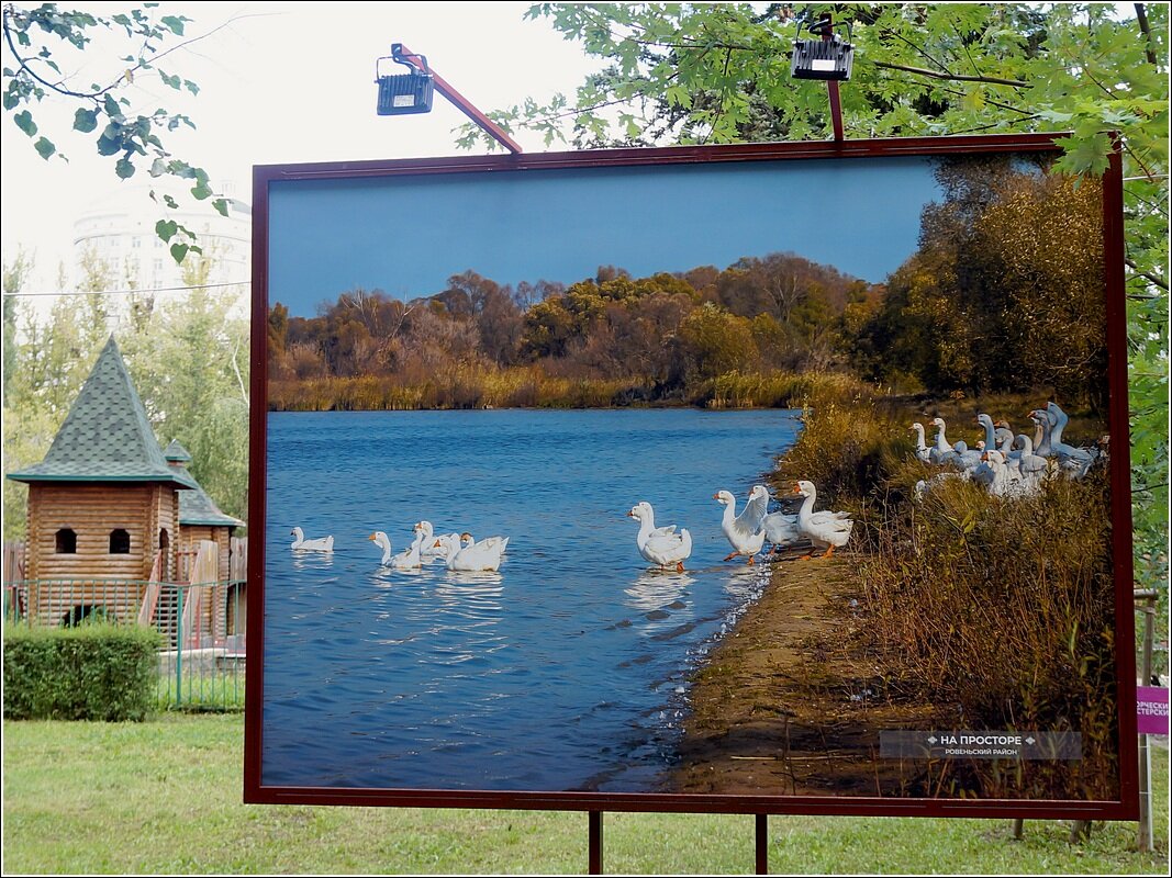 Фотовыставка в парке - Сеня Белгородский