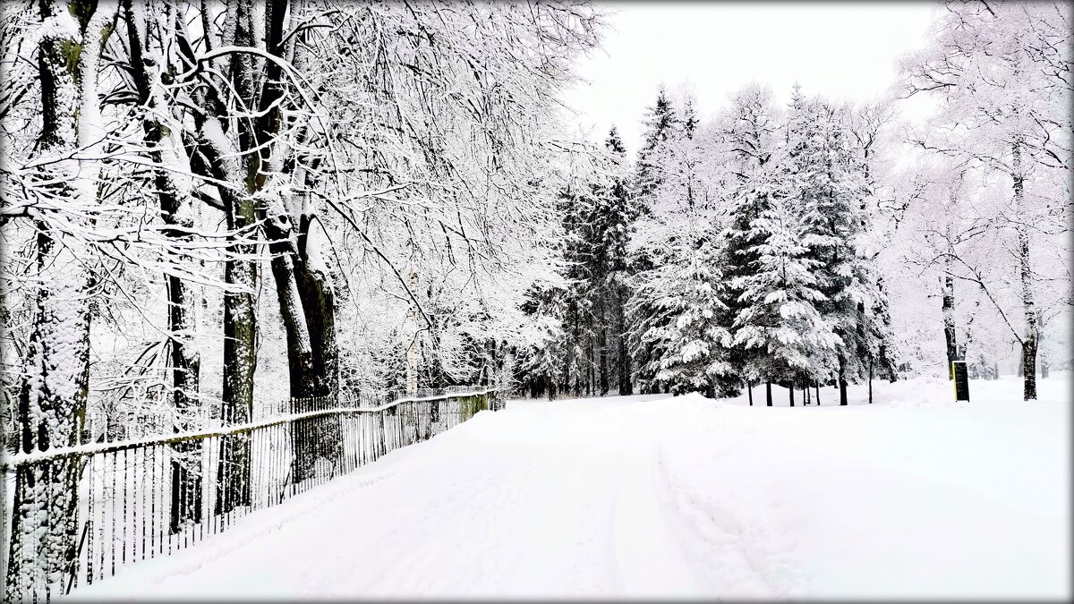 В парке тихо шёл снег - 2 - Сергей 