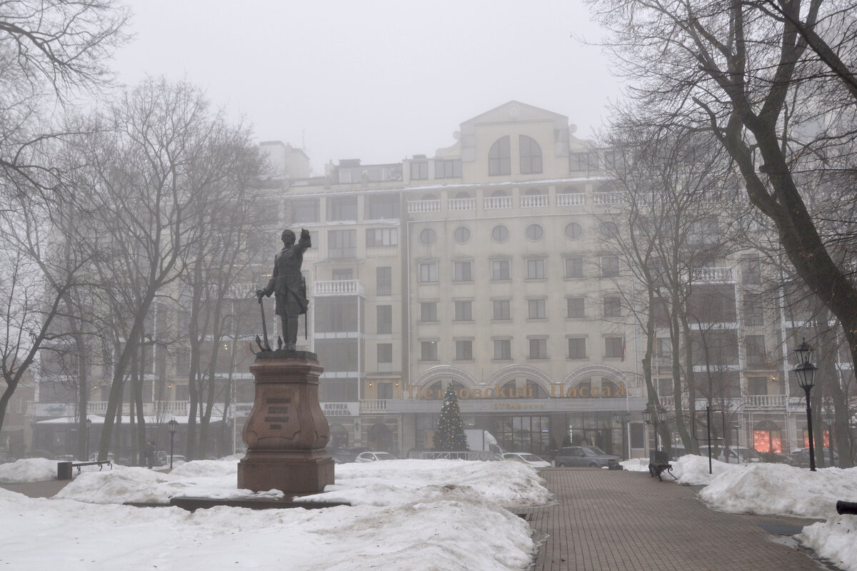 Петровский Пассаж. Памятник Петру I. - Татьяна Машошина