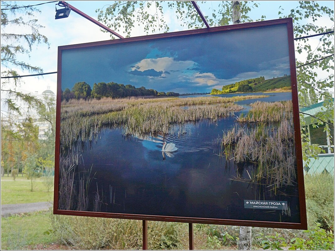 Фото-Аллея в парке - Сеня Белгородский