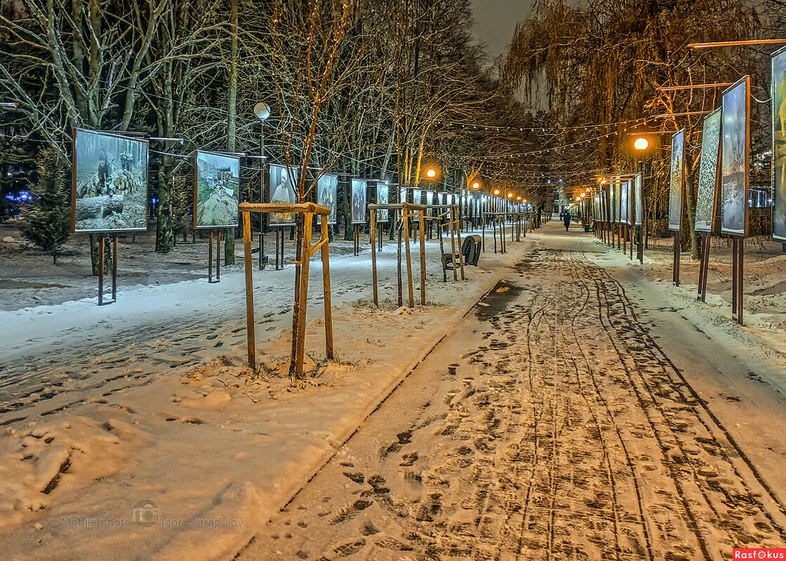 Фотовыставка под открытым небом - Игорь Сарапулов