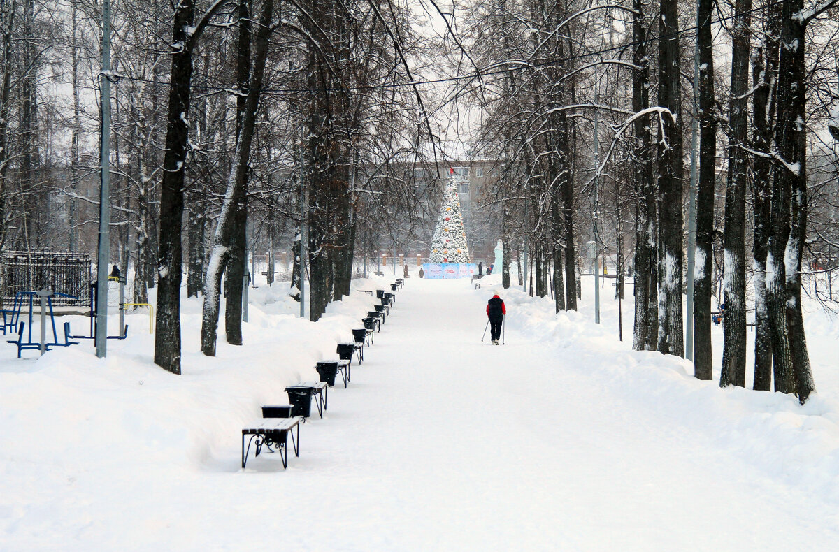 Зима в городе. - Евгений Шафер