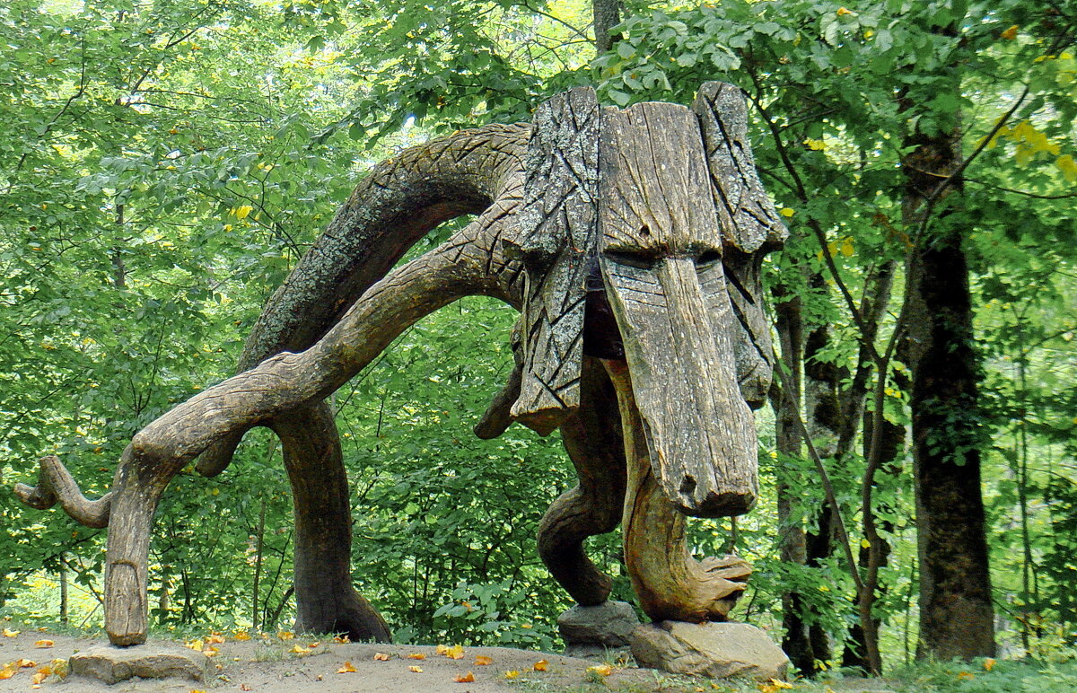 деревянный дракон - ИННА ПОРОХОВА