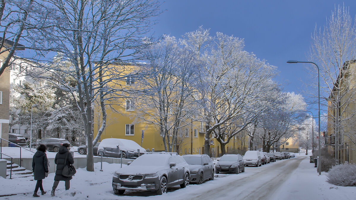 Прогуляться по зимней улице - Alexandеr P