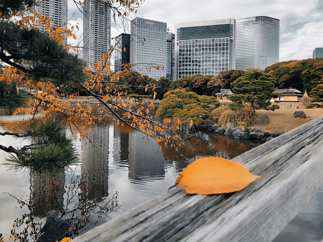Осенний сад Hama-rikyū Gardens Токио Япония - wea *