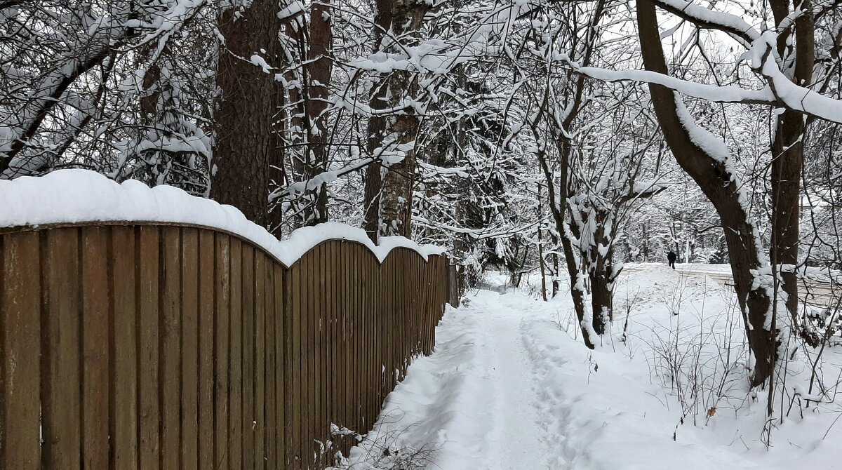 Декабрь - Наталья Герасимова