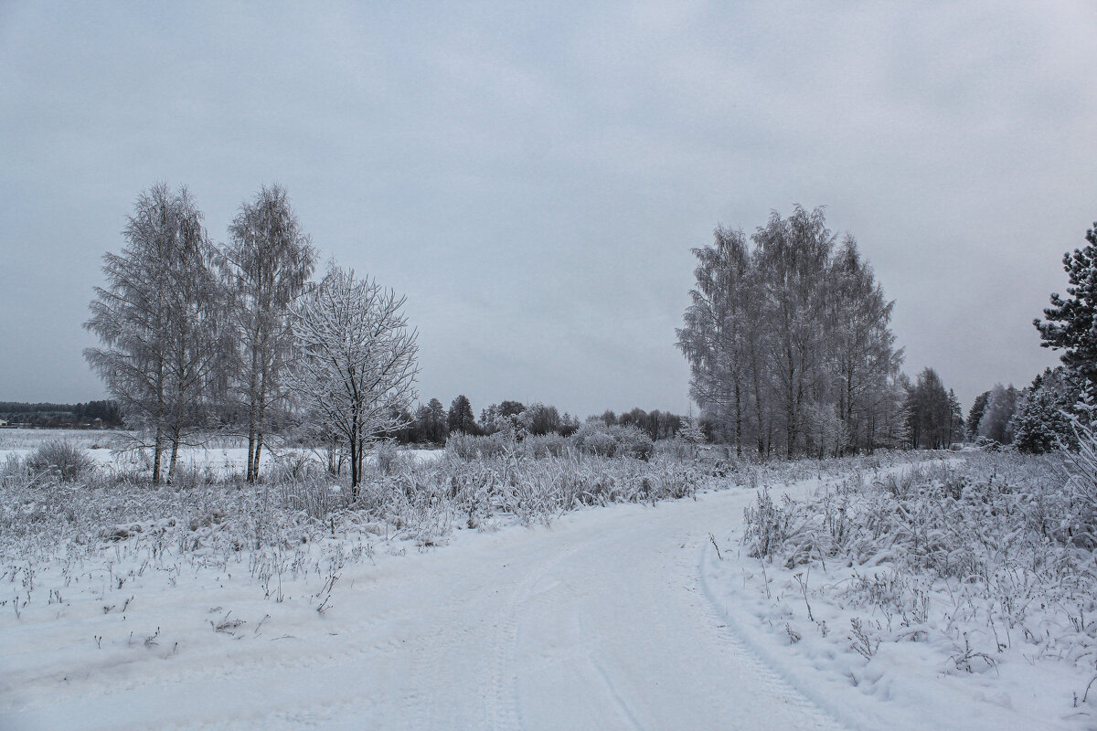 зима - Владимир Зеленцов