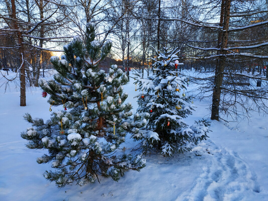 * * * - Андрей Лукьянов