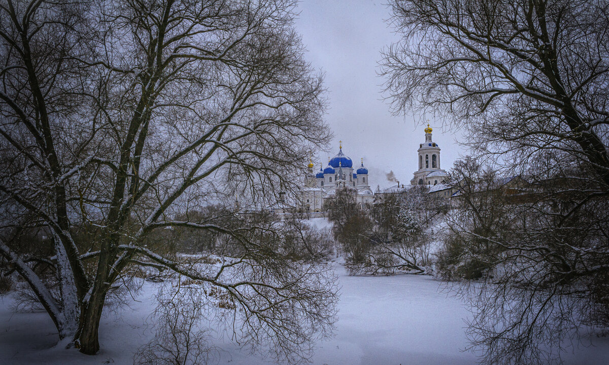 В рамке из деревьев - Сергей Цветков