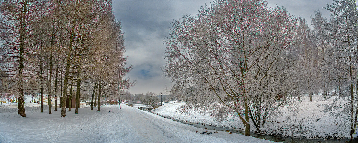 В зимнем парке - Aleksey Afonin