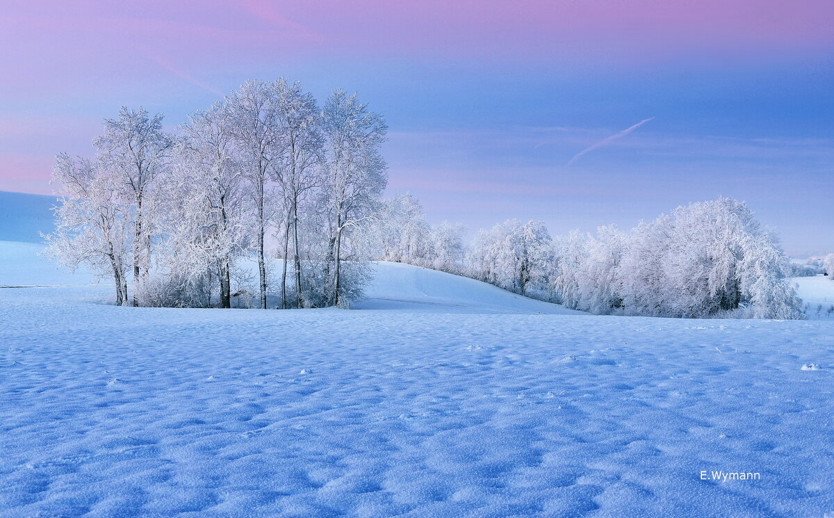 winter,s fairytale - Elena Wymann