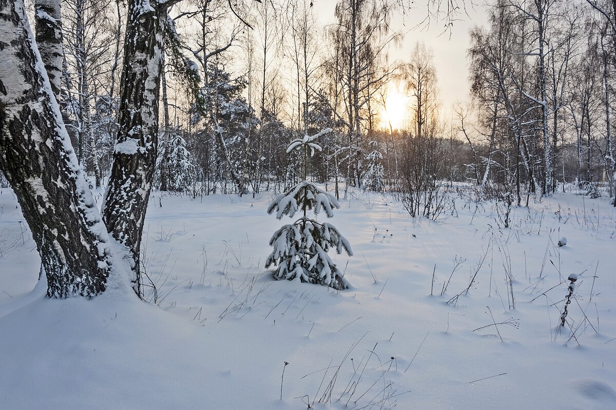 Зимнее утро - Валерий Иванович