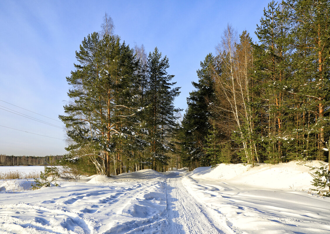 Зимняя дорога - Oleg S