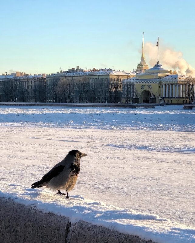 Зимний Санкт-Петербург - Виктор Скайбери