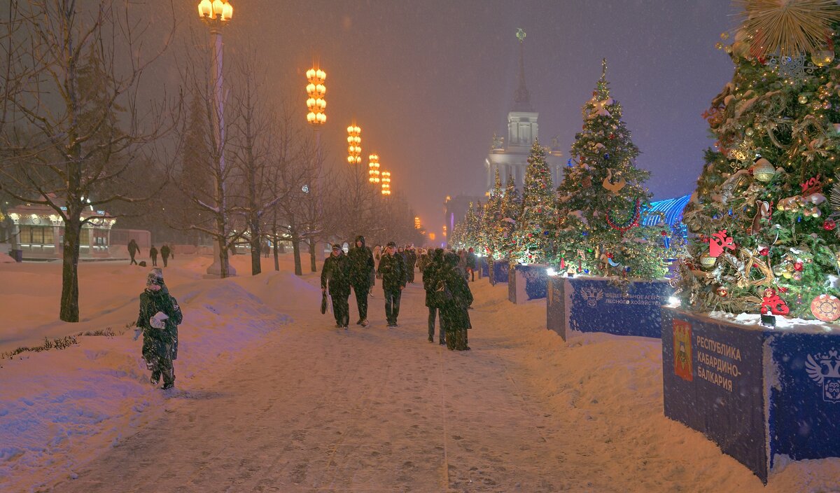 Прогулка по ВДНХ в снегопад - Yevgeniy Malakhov