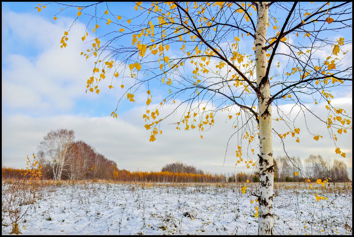 Первый снег. 31 октября 2010 - **** vedin