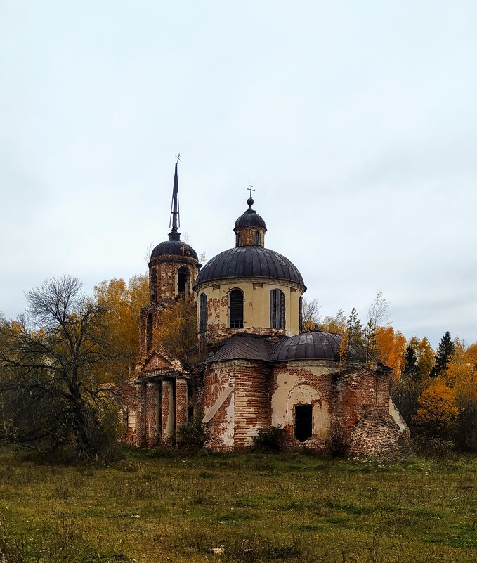 В области - Пасечник 