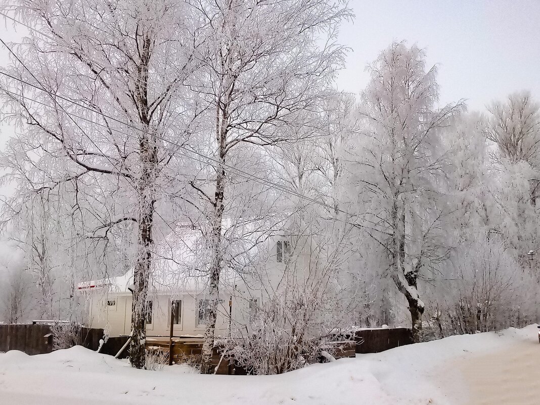 Зимний день - Сергей Кочнев