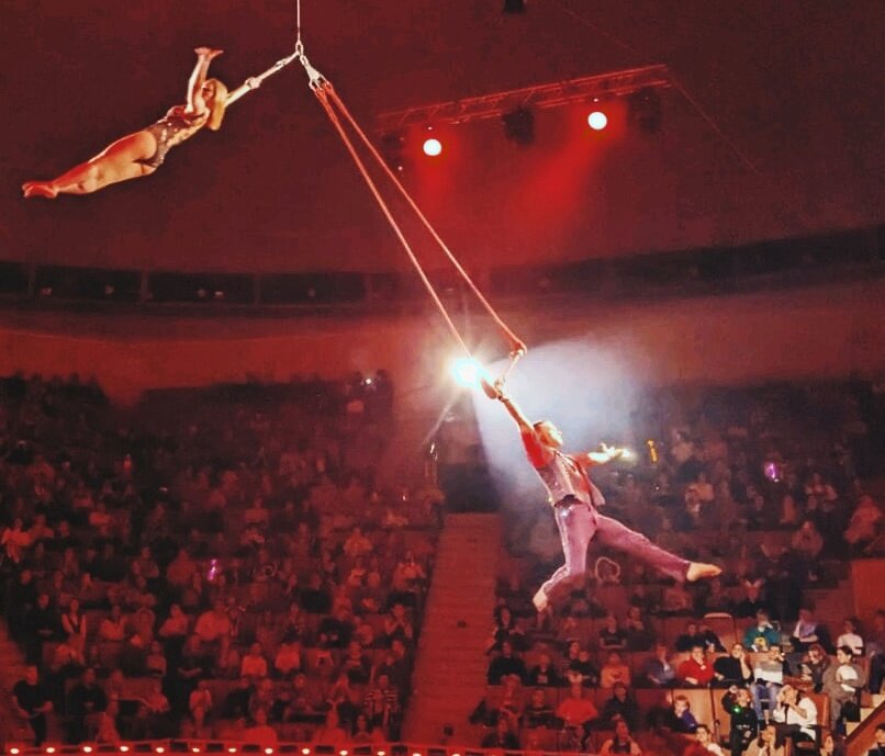 Цирковая гимнастика. - Андрей Хлопонин