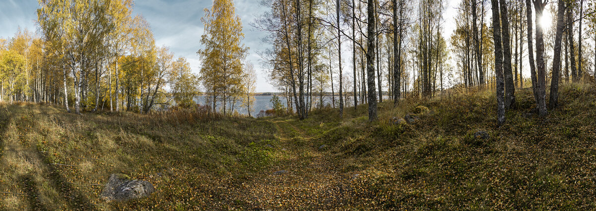 Панорама осени - Андрей Бобин