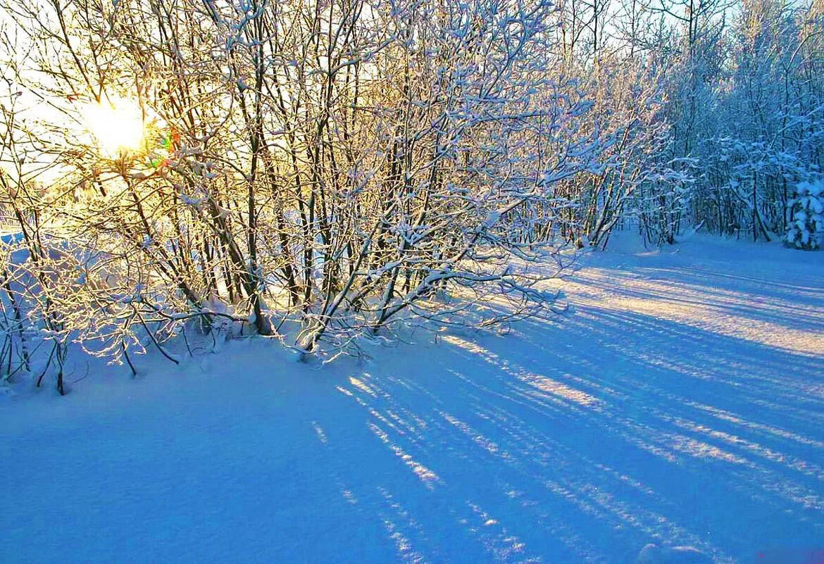 Январь...Утро. Мороз,солнце и тени на снегу! - Владимир 