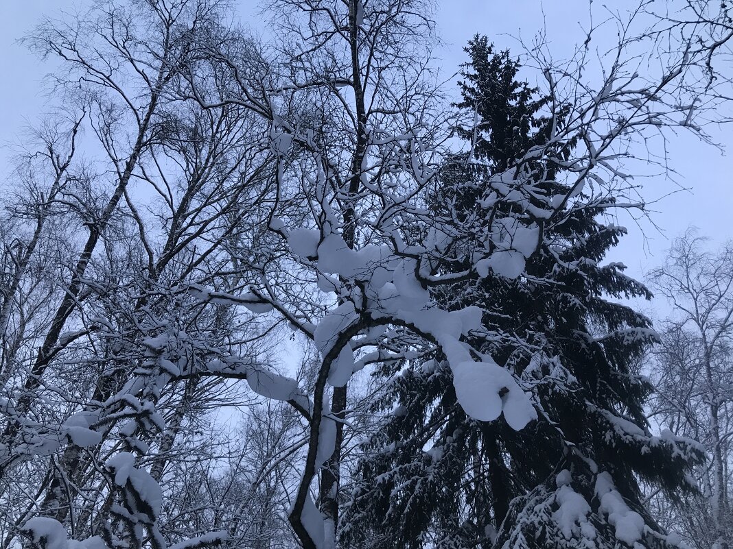 Зима, зима… - Любовь 