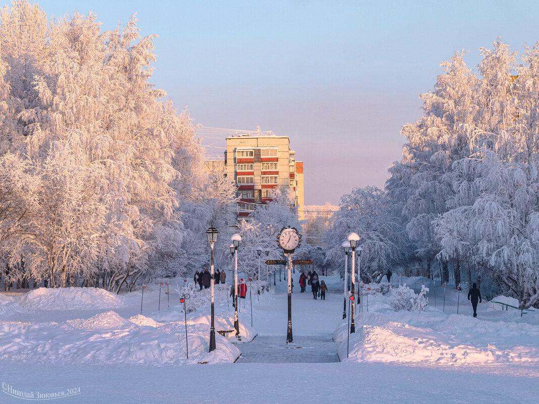 Северная Яблоневая аллея в Ухте (Коми) в январе, на горизонте уже видна зимняя тайга - Николай Зиновьев