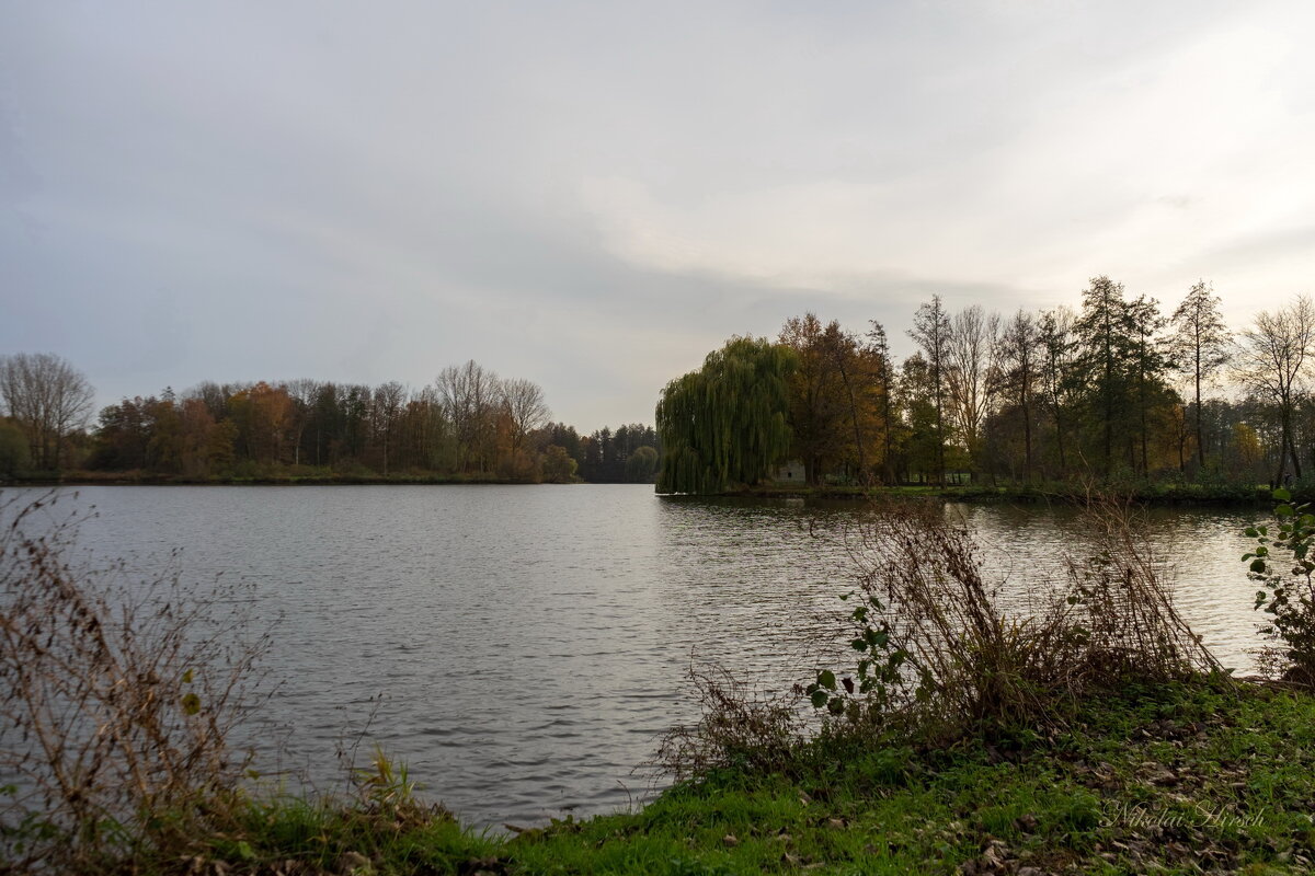 Озеро в ноябре - Николай Гирш